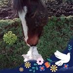 Maureen Long - @maureenlong2007 - Instagram