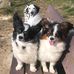 Maureen Longley - Facebook
