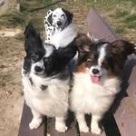 Maureen Longley - @maureen.longley.7 - Instagram