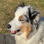 Maureen Ludwig - @maureenlud - Instagram