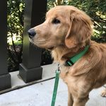 Maureen Ludwig - @mludwig103 - Instagram