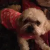 Maureen Lyons12 - @maureenlyons1 - TikTok