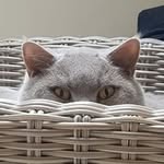 Maureen Lyons - @maureenjoslyons - Instagram