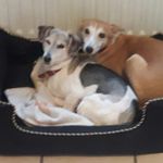 Maureen Lyons - @lyons.maureen - Instagram