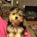 Mariann Lyttle - Facebook