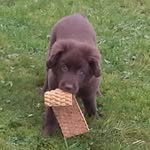 Maureen Macken - @maureen.macken.3 - Instagram