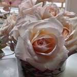 Maureen Mackinnon - @maureen_mackinnon - Instagram