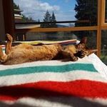 Maureen Mackey - @maureen.mackey - Instagram