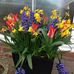 Maureen March - Facebook