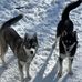 Maureen Marcoux - Facebook