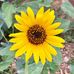 Maureen May - Facebook