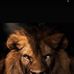 Maureen Mathew - Facebook