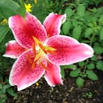 Maureen Mayhew - @maureen.mayhew.750 - Instagram