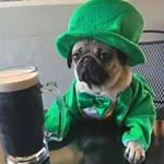 Maureen Mccallion - @mccallionmaureen - Instagram