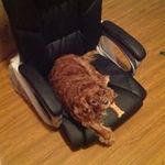 Maureen Mcgee - @pooheeyore9861 - Instagram