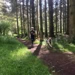 Maureen McGee - @claymores96 - Instagram