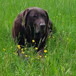 Maureen McGinty - @maureen.mcginty.50uh - Instagram
