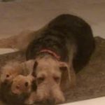 Maureen McGinty Phelan - @phelanmaureen - Instagram