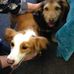 Maureen McLeod - Facebook