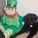 Maureen McSweeney - @moamc08 - Instagram