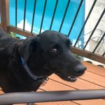 Maureen Mcsweeney-belanger - @mcsweeneybelanger - Instagram