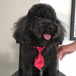 maureen.Meier - @maureen.meier - Instagram