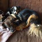 Maureen Meijer - Facebook
