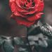 Maureen J Melvin - Facebook