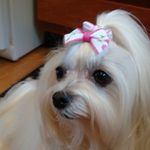 maureen messina - @maureenfm9 - Instagram
