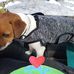 Maureen Meyer - Facebook