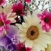 Maureen Meyer - Facebook