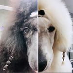Maureen Meyer - @meyermaureen - Instagram