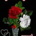 Maureen Minto - Facebook