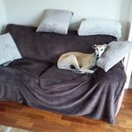 Maureen Mitchell - @maureenmitchell4 - Instagram