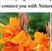 Maureen Mohan - Facebook