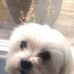 Maureen Moylan - Facebook