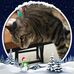 Maureen Mueller - Facebook