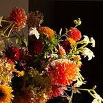Maureen Mueller - @modmueller - Instagram
