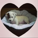 maureen.mueller❤ - @maureen_und_ja_ - Instagram