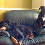 Maureen Mcnaughton - @mcnaughtonmaureen - Instagram