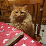 Maureen Naughton - @maureen_naughton - Instagram