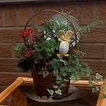 Maureen Newcomb - @maureen.newcomb.54 - Instagram