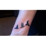 Maureen Nicholas - @parrotgirl2 - Instagram