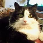 Maureen Callahan Norcross - Facebook