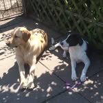 Maureen Oliphant - @maureen3531 - Instagram
