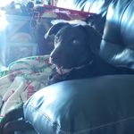 Maureen Olson - @libby7605 - Instagram