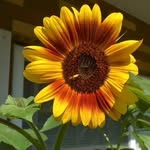 Maureen Olson - @mom.olson1 - Instagram