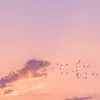 MaureenOneal - @aileeszngds - TikTok