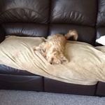 Maureen Osborne - @maureenosborne1943 - Instagram