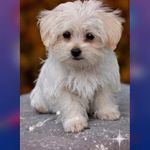 Maureen Owens - @maureen.owens.7777019 - Instagram